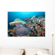 Hard Coral Formations and Wall Decal Design 1