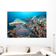 Hard Coral Formations and Wall Decal Design 1