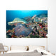 Hard Coral Formations and Wall Decal Design 1