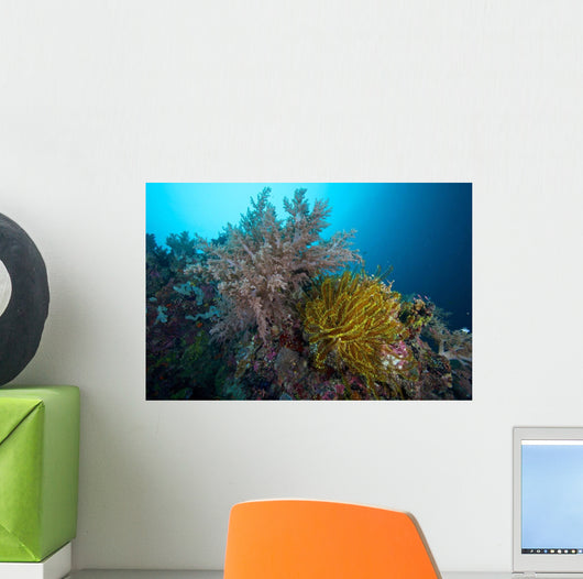 Soft Corals and Feather Wall Decal