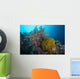 Soft Corals and Feather Wall Decal