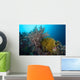 Soft Corals and Feather Wall Decal