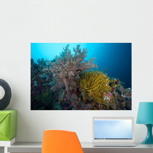 Soft Corals and Feather Wall Decal