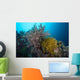 Soft Corals and Feather Wall Decal