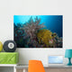 Soft Corals and Feather Wall Decal