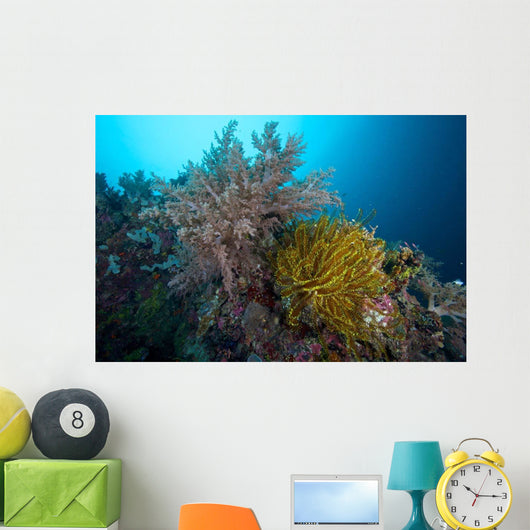 Soft Corals and Feather Wall Decal