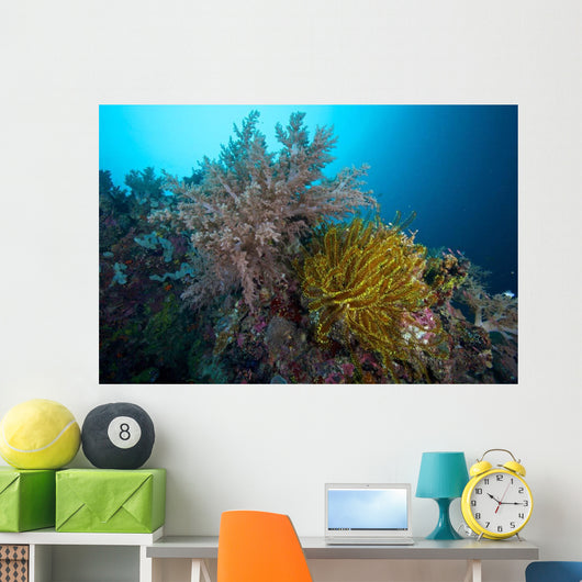 Soft Corals and Feather Wall Decal