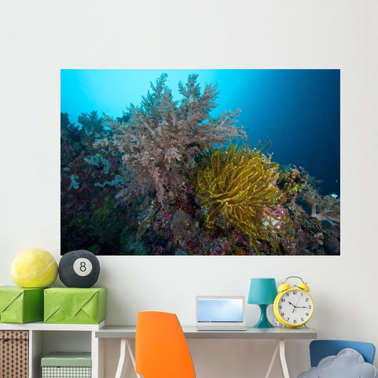 Soft Corals and Feather Wall Decal