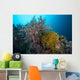 Soft Corals and Feather Wall Decal