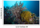 Soft Corals and Feather Wall Decal