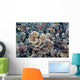 Hard Corals Limasawa Island Wall Decal