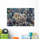 Hard Corals Limasawa Island Wall Decal