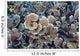 Hard Corals Limasawa Island Wall Decal