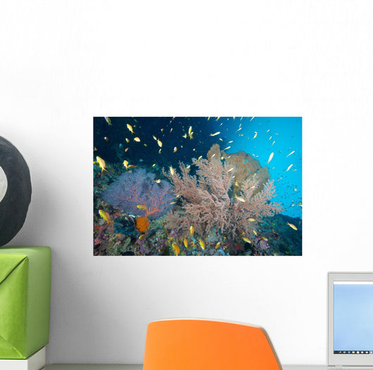 Sea Fans and Reef Wall Decal