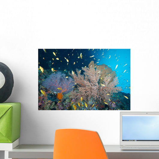 Sea Fans and Reef Wall Decal
