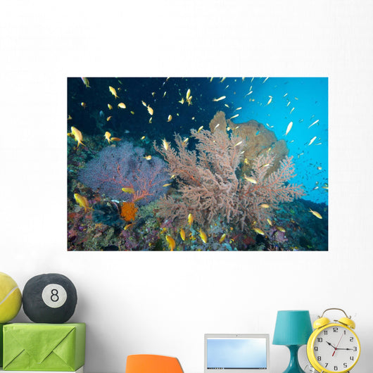 Sea Fans and Reef Wall Decal