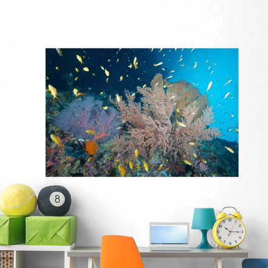Sea Fans and Reef Wall Decal