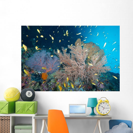 Sea Fans and Reef Wall Decal