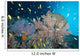 Sea Fans and Reef Wall Decal