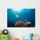 Snorkeler Explores Coral Reef Wall Decal Design 3