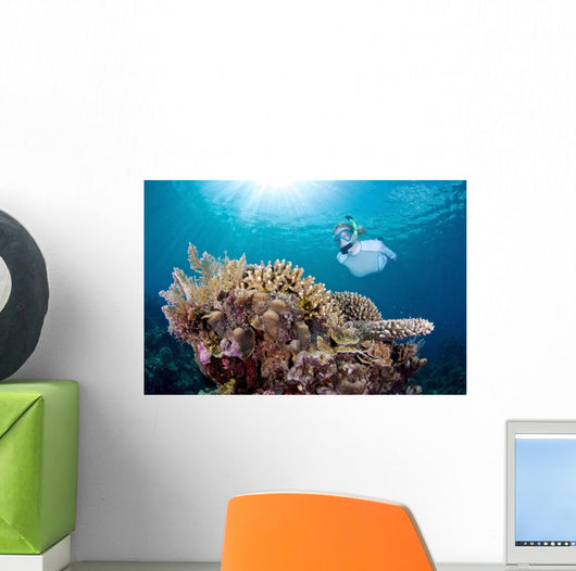 Snorkeler Explores Coral Reef Wall Decal Design 2