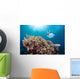 Snorkeler Explores Coral Reef Wall Decal Design 2