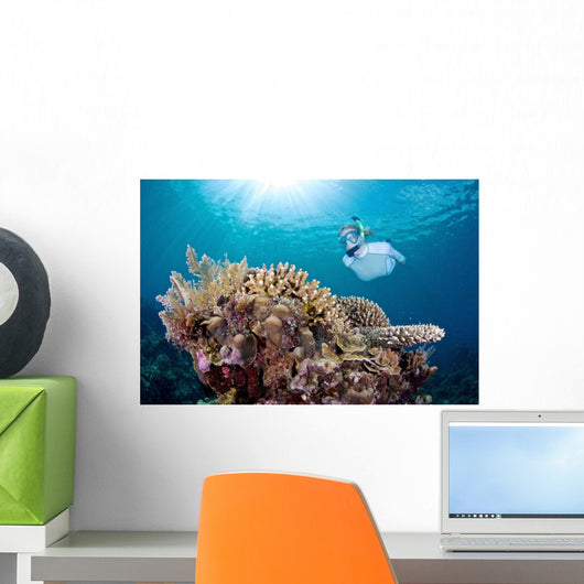 Snorkeler Explores Coral Reef Wall Decal Design 2