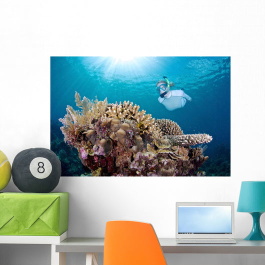 Snorkeler Explores Coral Reef Wall Decal Design 2