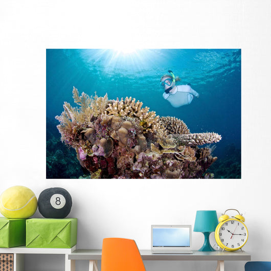 Snorkeler Explores Coral Reef Wall Decal Design 2