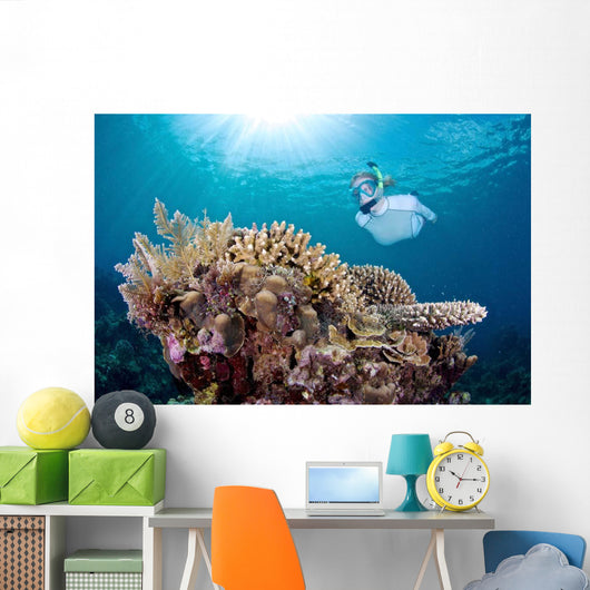 Snorkeler Explores Coral Reef Wall Decal Design 2
