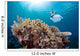Snorkeler Explores Coral Reef Wall Decal Design 2