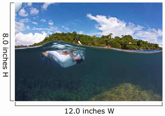 Snorkeler Explores Coral Reef Wall Decal Design 1