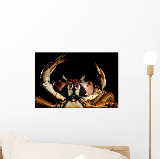 Newly Discovered Species Crab Wall Decal