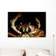 Newly Discovered Species Crab Wall Decal