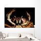 Newly Discovered Species Crab Wall Decal