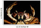 Newly Discovered Species Crab Wall Decal