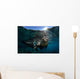 California Sea Lion near Wall Decal Design 2
