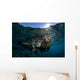 California Sea Lion near Wall Decal Design 2