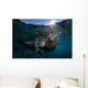 California Sea Lion near Wall Decal Design 2