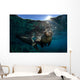 California Sea Lion near Wall Decal Design 2