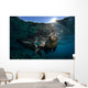 California Sea Lion near Wall Decal Design 2
