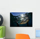California Sea Lion near Wall Decal Design 1