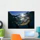 California Sea Lion near Wall Decal Design 1