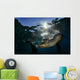 California Sea Lion near Wall Decal Design 1