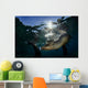 California Sea Lion near Wall Decal Design 1