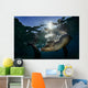 California Sea Lion near Wall Decal Design 1