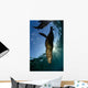 California Sea Lion Sunrise Wall Decal Design 2