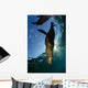 California Sea Lion Sunrise Wall Decal Design 2