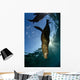 California Sea Lion Sunrise Wall Decal Design 2