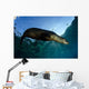 California Sea Lion Sunrise Wall Decal Design 1
